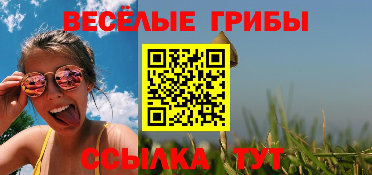 продажа наркотиков  Галлюциногенные грибы Magic Shrooms  Вход с VPN  Избербаш 